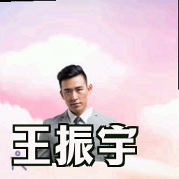 王振宇